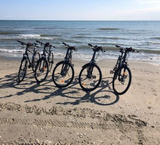 Fünf Fahrräder stehen am Strand