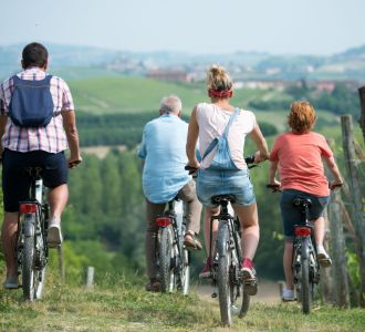 Familie auf E-Bikes fahren entlang an Weinbergen.